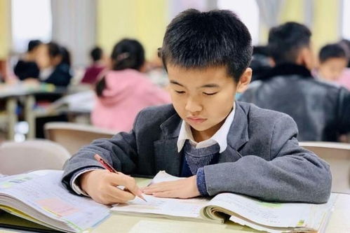 教育改革新戰(zhàn)略即將落地，家長心態(tài)需理性調(diào)整